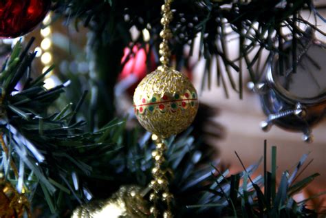 Wallpaper Branch Christmas Tree Holiday Fir Event Evergreen
