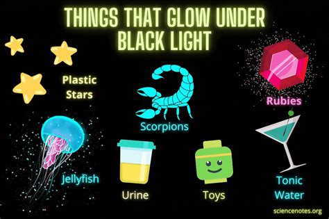 List Of Things That Glow Under Black Light