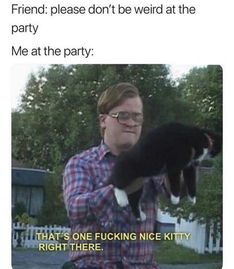 Thats One Nice Kitty Meme Guy