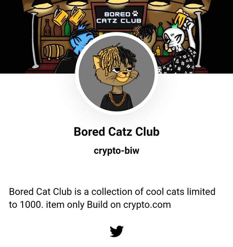 Boredcatzclub Boredcatzclub Twitter
