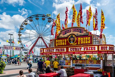 Once the thermostat reaches the desired temperature, the entire system shuts off until the next cycle. Carnival Fun! Circus Fun! & Theme Parks... — The Sims Forums