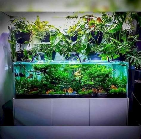 The bar dans un autre monde is located 150 feet away. 17 maravillosas decoraciones interiores con ideas para acuarios interiores | Idées d'aquarium ...
