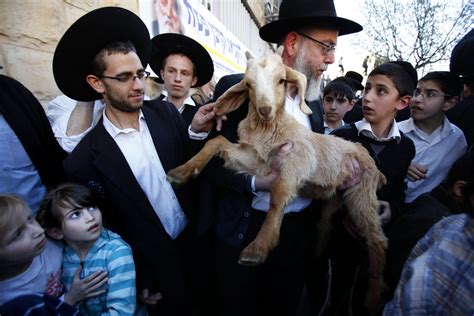 Why Do Jewish Activists Keep Trying To Sacrifice Goats In Jerusalems