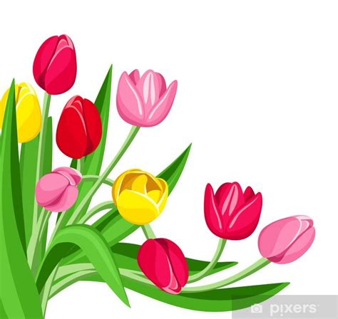 Fotomural Tulipanes de colores. Ilustración del vector. • Pixers® - Vivimos para cambiar