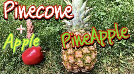 Only In English Between Pine 🌲 And Apple 🍎 Become Pineapple 🍍 We All Call It Manas Only In