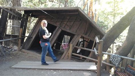the oregon vortex house of mystery gold hill updated 2020 all you need to know before you go