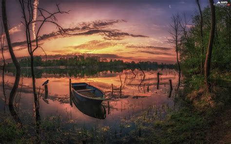 Boat Great Sunsets Trees Viewes Lake Ships Wallpapers 2048x1279