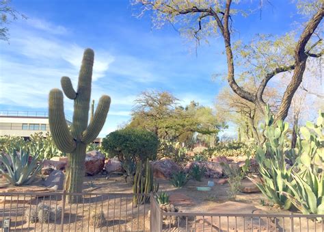 The las vegas chocolate tour is along one hallway where you can see chocolate making in action! Red House Garden: The Ethel M. Chocolate Factory's ...