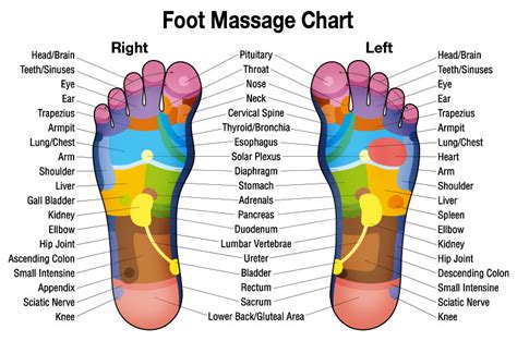 Foot Massage Therapy Herbalshop