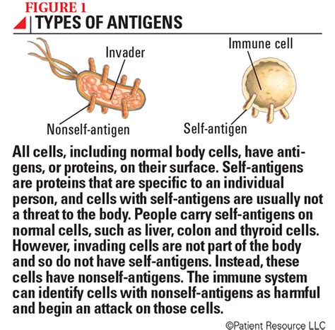 Understanding the Immune System - Society for Immunotherapy of Cancer