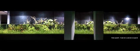 Hasil pencarian jual aquarium aquascape led yamano watt menemukan 9+ barang harga rp 82ribu. Aquascape Design: Toko Aquarium Di Bandung