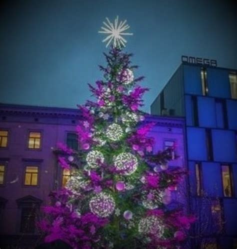Rozsvícení Vánočního Stromu V Brně Náměstí Svobody Brno Informujicz