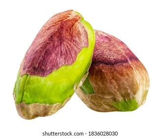 Different Sorts Colorful Cocoa Pods On Stock Photo Shutterstock