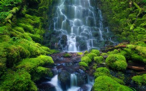A collection of the best rainy forest wallpapers and backgrounds available for download for free. Cascade Waterfall Sensoria Rain Forest Costa Rica Mexico ...