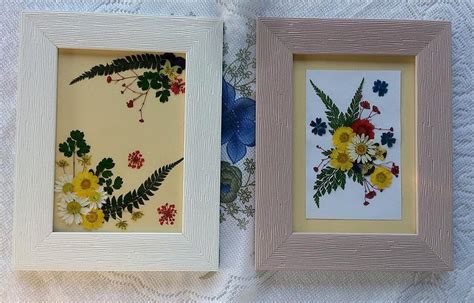 How To Frame Pressed Flowers Greetings Of Grace