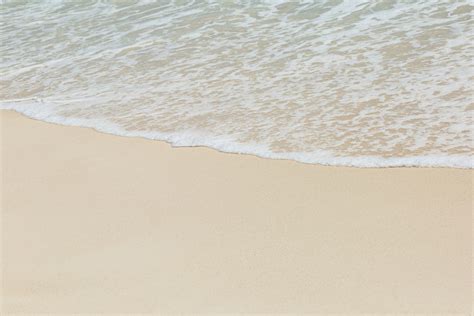 Sea Foam On White Beach Free Stock Photo Public Domain Pictures