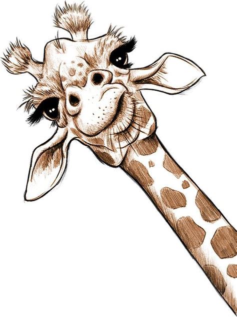 تصویر زمینه زرافه Giraffe Wallpaper Giraffe Art Giraffe Drawing