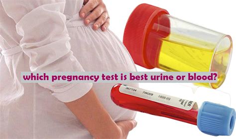 Which Pregnancy Test Is Best Urine Or Blood ️ Startpregnancy