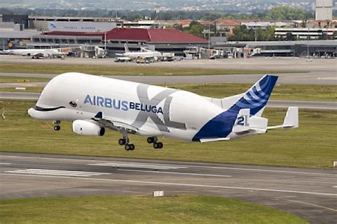 Airbus Second Beluga Xl Enters Service Simple Flying