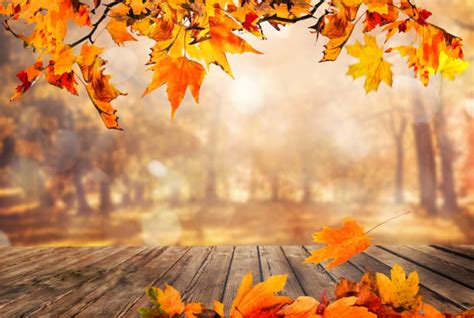 Autumn Leaf On Table Stock Photos Pictures And Royalty Free Images Istock