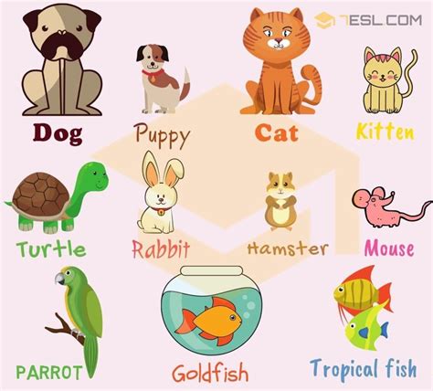 Pet Names List Of Pets And Types Of Pets With Pictures Pet Names List
