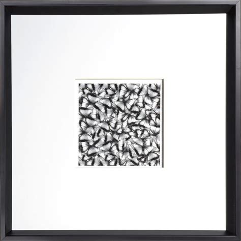 Our 16 X 16 Series Of Black And Whites Are A Versatile And Varied Group