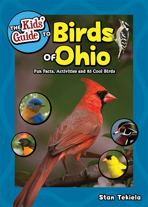 The Kids Guide To Birds Of Ohio Adventurekeen Shop