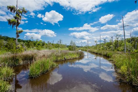 Cay Creek Wetlands Interpretive Center Liberty County Georgia