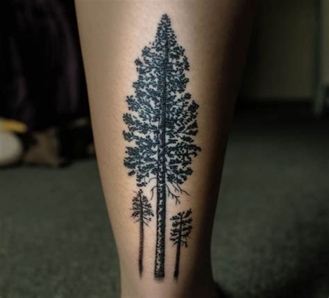 Pine Tree Tattoo On Calf Tree Tattoo Calf Tree Tattoo Pine Tree Tattoo