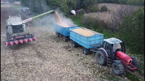 Kukorica Arat S Corn Harvest Youtube