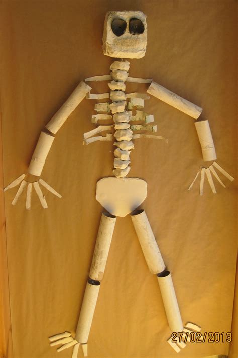 Cardboard Skeleton Preschool Learning Fun Learning Education
