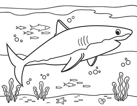 Great white shark coloring pages printable. Printable Great White Shark Coloring Page | Shark coloring ...