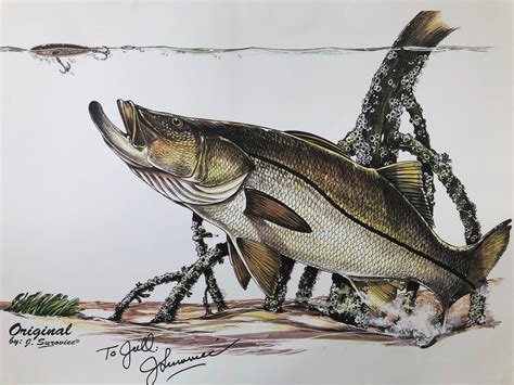 J Suroviec Snook Fish Print Signed Lithograph Bright And Etsy