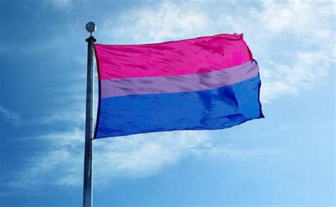 día de la bisexualidad todo lo que debes saber sobre el tema