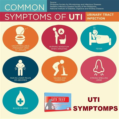 Symptoms In Uti