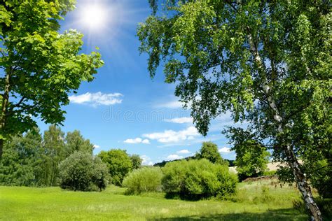 Beautiful Sunny Summer Landscape Stock Photo Image Of Greenery Blue