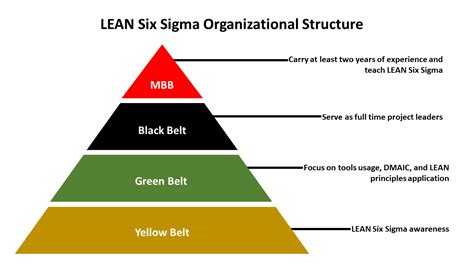 How To Become A Lean Six Sigma Organization Process Central