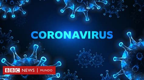 Qu Son Los Coronavirus Cu Ntos Hay Y Qu Efectos Tienen Sobre Los