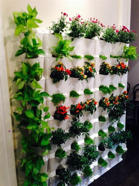 You can plant and grow vertically very easily. Vertical Gardening Brings Your Walls to Life | Minigarden US