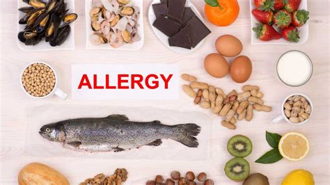 What Is The Difference Between Food Allergy And Food Intolerance