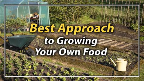 How To Start Growing Your Own Food What To Focus On First Youtube