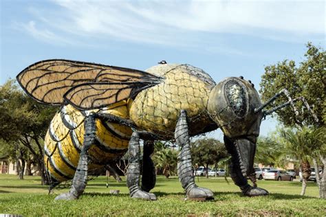 Roadside Oddity The Killer Bee Of Hidalgo Texas