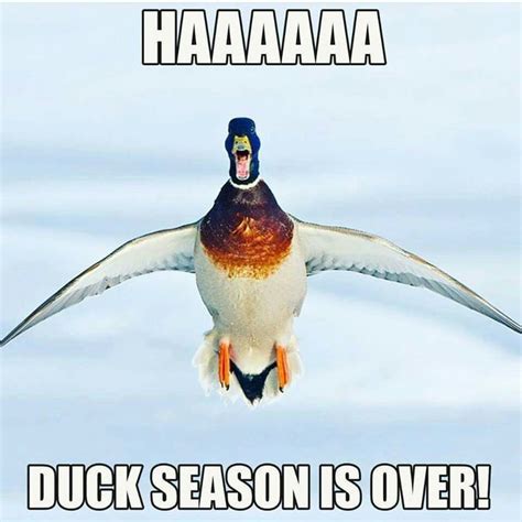 Waterfowl Obsessions Duck Season Animals Duck Hunting