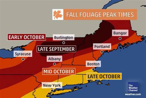 New England Foliage Map New England Foliage Foliage Map The Weather
