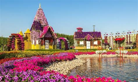 Miracle Garden Dubai Timings Tickets Price Entry Fee Jtr Holidays