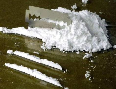 La storia di un alpinista, heinrich harrer, che si rifugia in tibet e fa la straordinaria conoscenza del dalai lama. 'Ndrangheta e cocaina: operazione "Columbus 2", arresti in ...