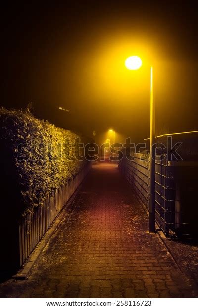 Night Walk Foggy City Park Alley Stock Photo Edit Now 258116723