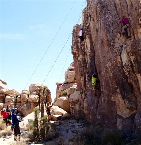 Rock Climbing Rates Joshua Tree Uprising Adventure Guides