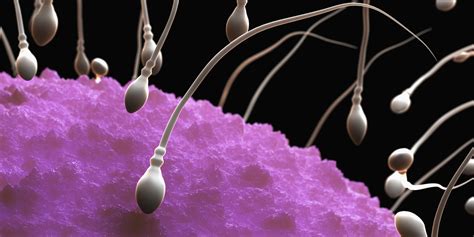 Nine Things You Never Knew About Sperm Photos Huffpost