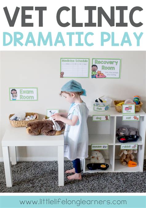 Vet Clinic Dramatic Play Area Little Lifelong Learners